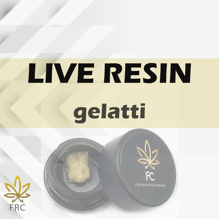 Premium quality Gelatti Live resin from FRC dispensary