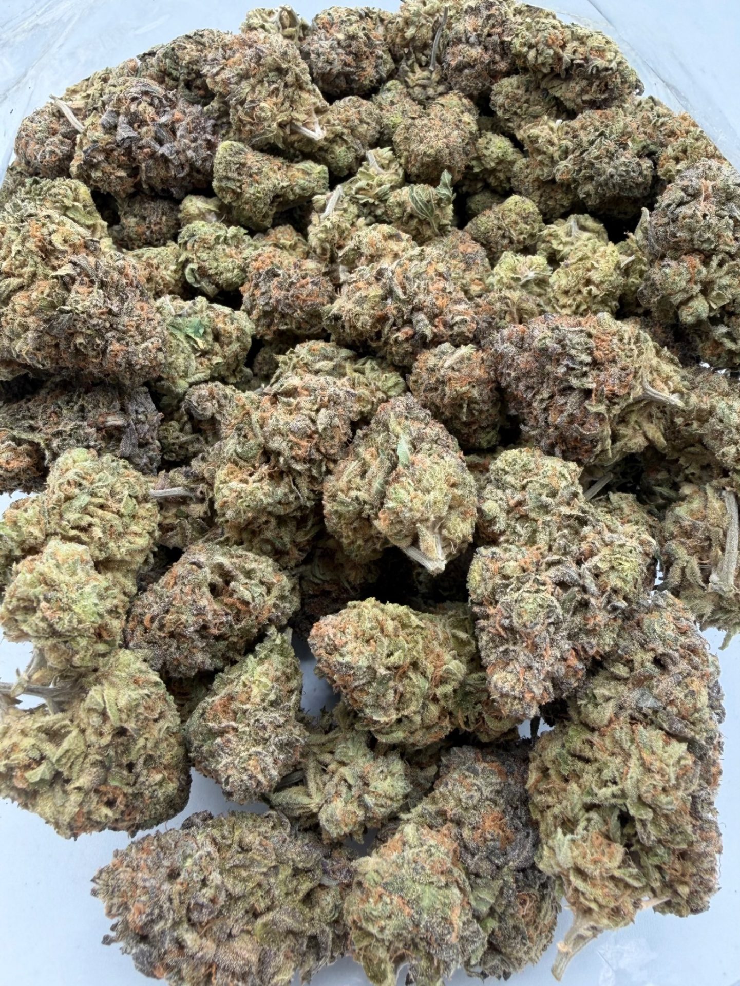 AAA Oreoz cannabis flower strain AAA Oreoz cannabis flower strain