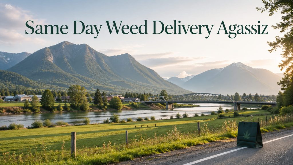 same day weed delivery Agassiz BC cannabis delivery near me fast service