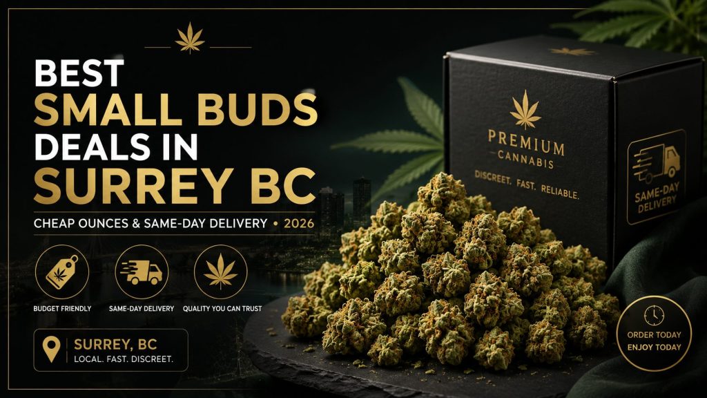 Best Small Buds Deals in Surrey BC