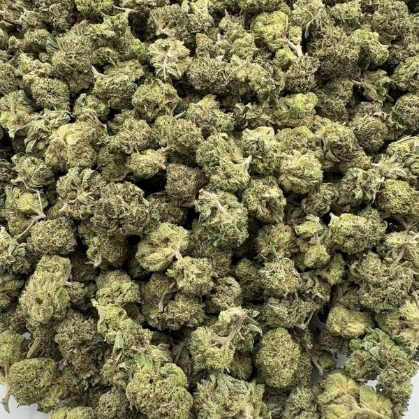 Lemon Haze sativa cannabis flower with citrus aroma