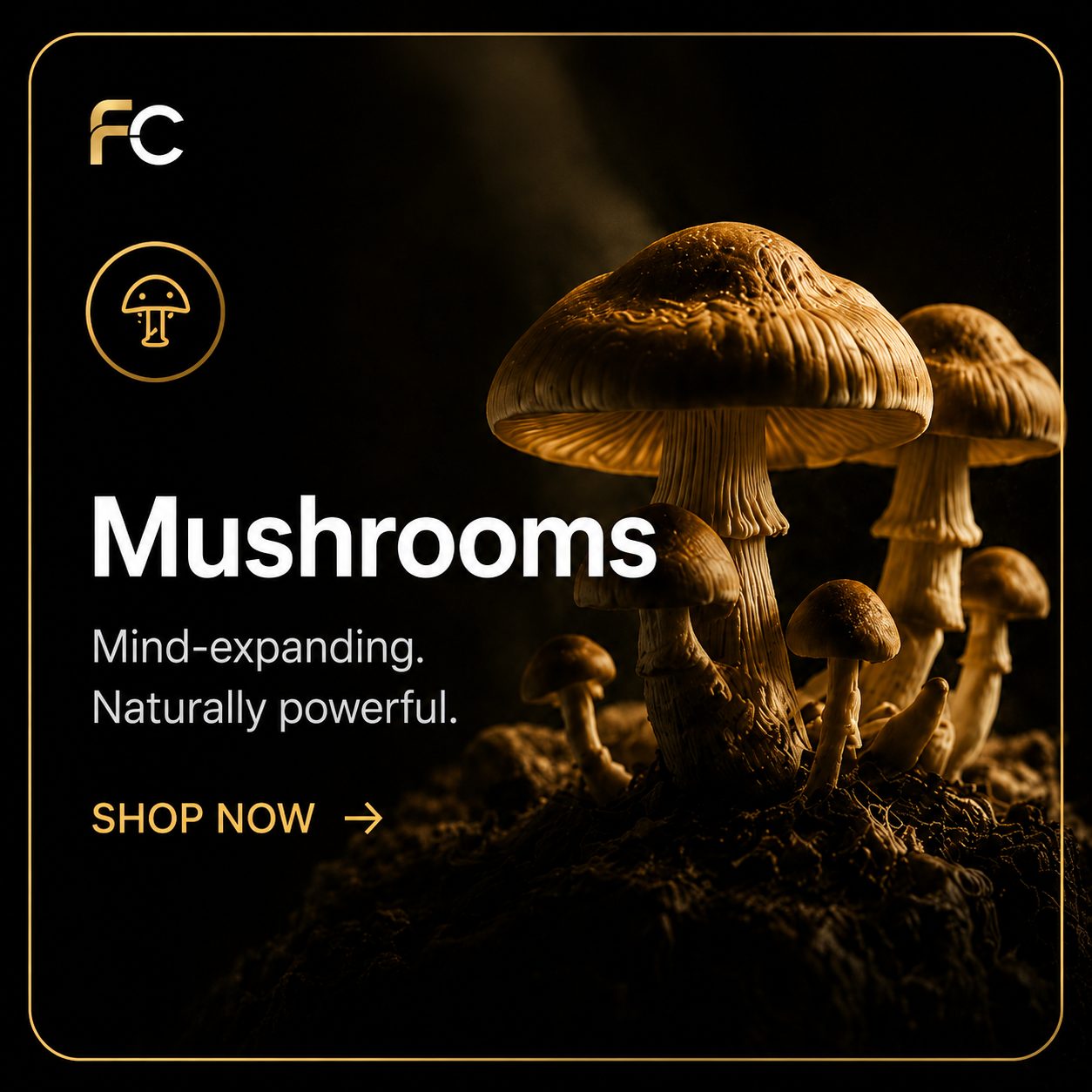 Shrooms category