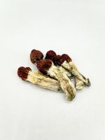 Vietnamese Mushroom dried mushrooms with golden caps and pale stems