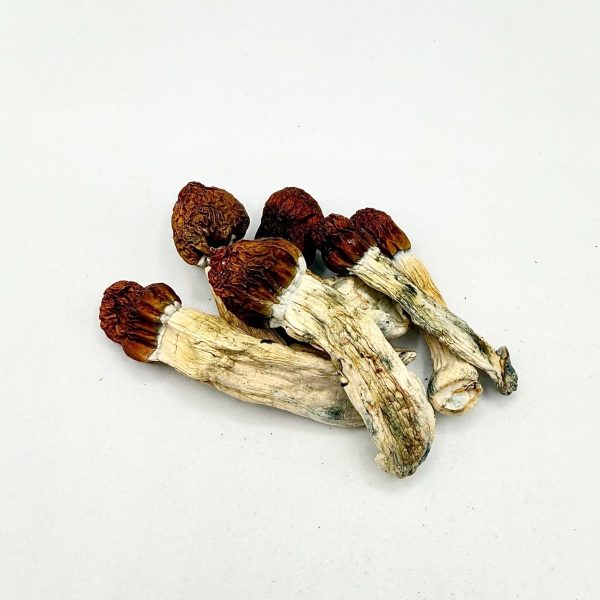 Vietnamese Mushroom dried mushrooms with golden caps and pale stems