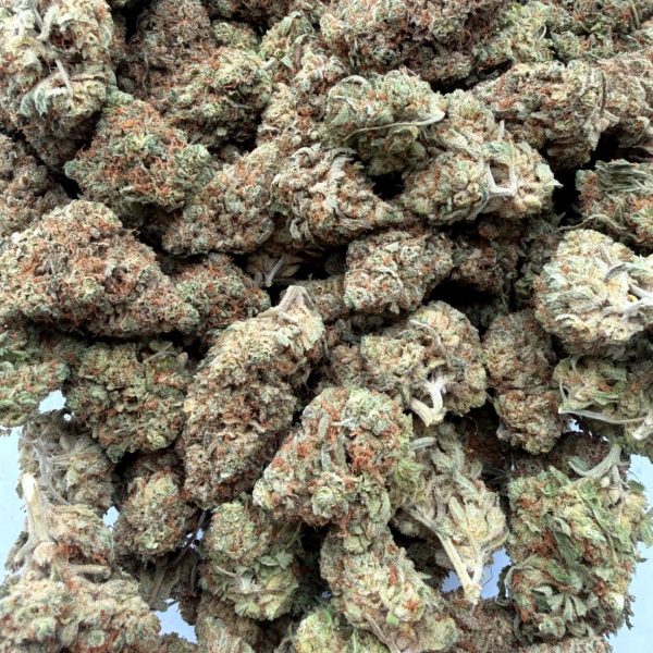 AA+ Jealousy cannabis flower strain