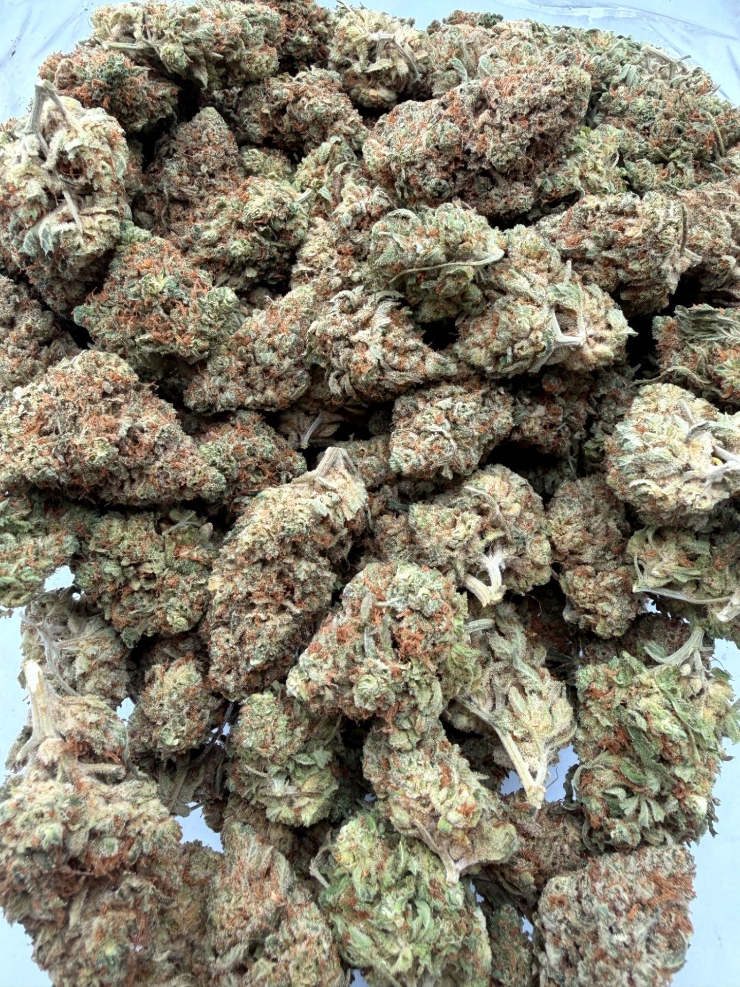 AA+ Jealousy cannabis flower strain AA+ Jealousy cannabis flower strain