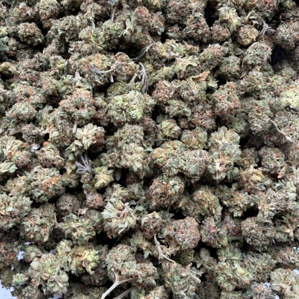 AAA Small Buds Gas Face cannabis flower strain