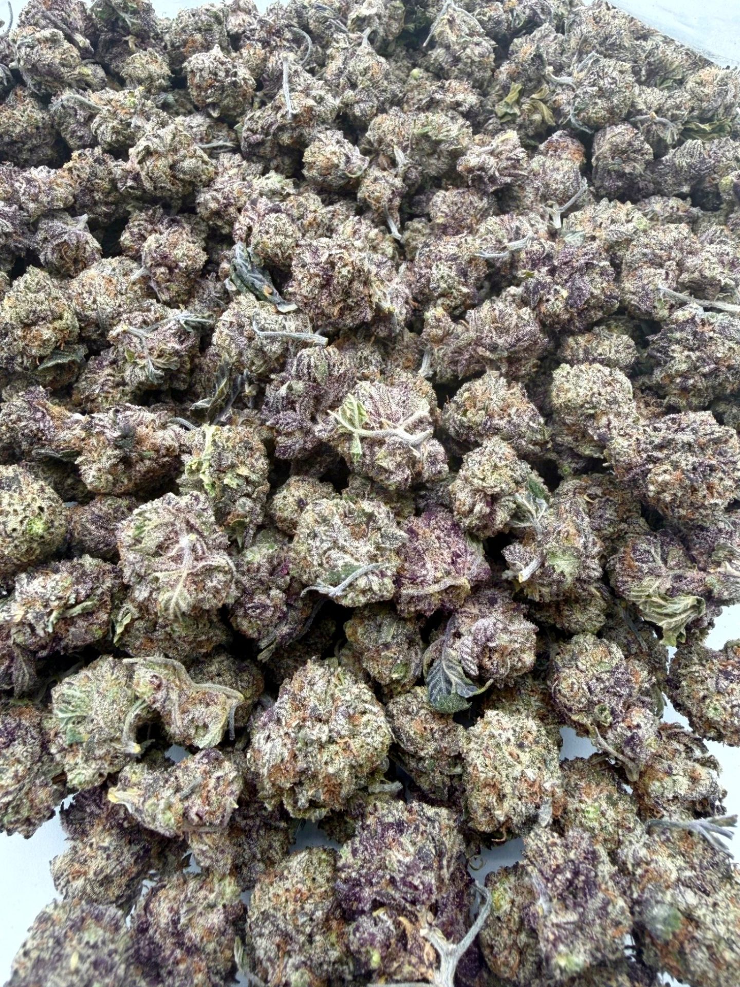 AAA Small Buds Jealousy cannabis flower strain AAA Small Buds Jealousy cannabis flower strain